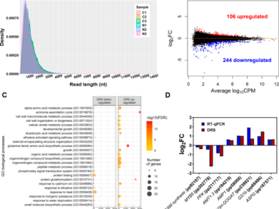 New article in Frontiers in Plant&nbsp;Science