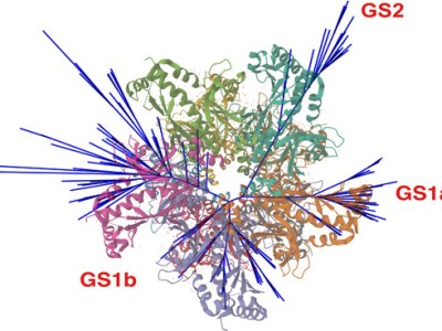 New article in FEBS&nbsp;Journal