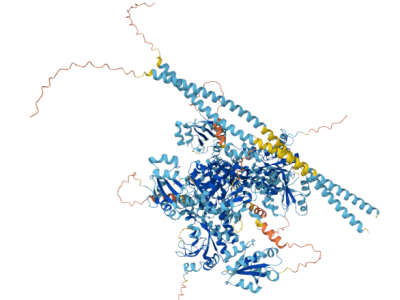 Oferta de contrato de empleo&nbsp;joven
